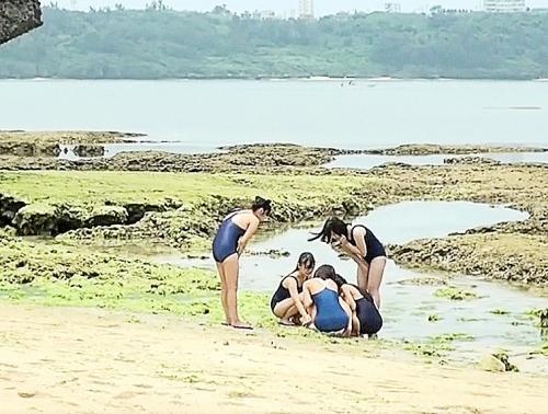 乱交の夏！真夏の浜辺で遊ぶスク水炉利な美少女たちをちょっかい出したら突然始まるスワッピングパーティー連続中出し
