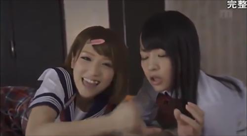 『女子高生』父親（あなた）を愛する2人の娘。しかし、育ち方は真逆だった。二人ともおとなしくて活発・・狭い家の中で、あなたを奪い合う。姉はパイパ！