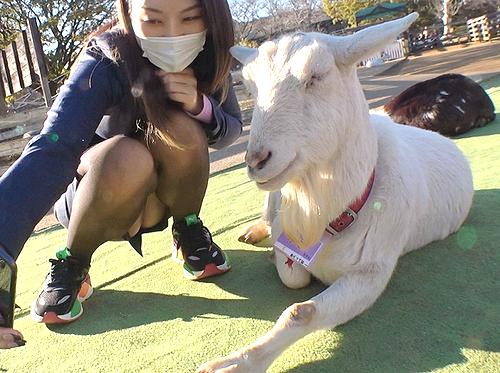 【サボり旅・パンスト】美乳のお姉さんをサボり旅路決行！パンチラ見せて勃起したヤギちゃん。
