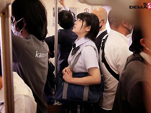電車通学中の制服美少女JKを痴漢で開発してトイレや自宅に連れ込み！アパートでたっぷり強姦レイプ凌辱エロセックス！