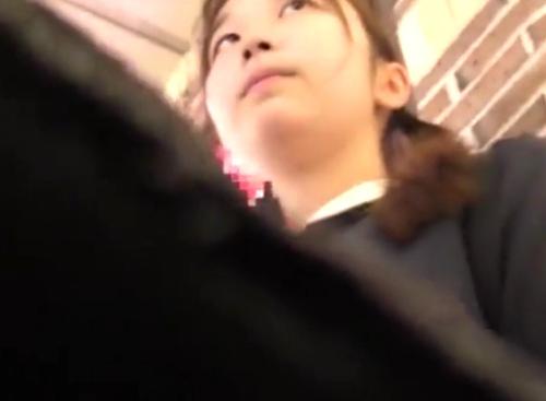 粘着×ひよこJC｜電車で痴漢され種付け強姦されたJC少女が、自宅に連れ込まれ何度も犯される