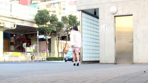 家族ドライブ中の人妻さんを公園の便所に連れ込んでヤる！！6 トイレNTR