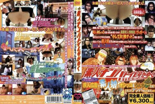 アナル 素人ナンパトイレ号がゆく 求人広告で素人娘のおしっこ＆うんちGETだぜ！
