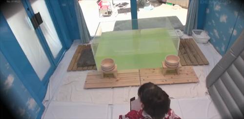 気分を高め、飛び込みでの乱れた中出しが始まる。