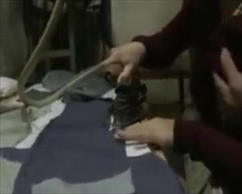 仕事中に胸を揉まれた欲情的な女性が休憩時間を使って性的行為