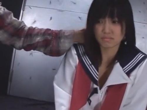 「静かそうな美少女を襲う興奮！」歪んだ表情と悲鳴に身震いする！