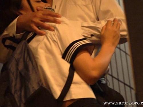制服を身にまとった可憐な少女が、冷酷な躾けの末に、羞恥に満ちた従順な奴隷へと堕ち果てる禁断のストーリー。