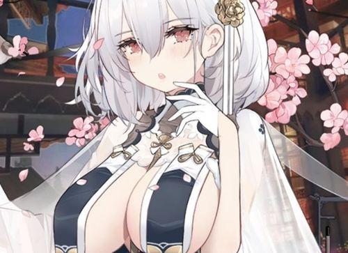 【画像】「乳暖簾（ちちのれん）」とかいうおっぱいに布を垂らしてるだけの痴女衣装