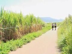道端を歩いていただけなのに強姦に襲われレイプされる美少女JK