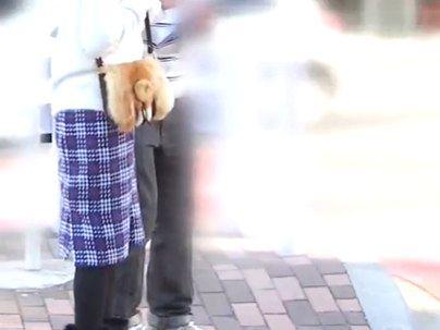 ＜一流のおば様ナンパ！＞「え？コレからですか？」セレブ美熟女町でゲッツ！他人棒でネトラレｓｅｘになっとる(アダルト動画)