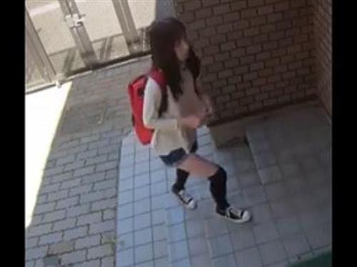 『ひぃ…もうチンチン挿れないでください…』【JS】ゴミクソ強姦魔に無理やり巨根ペニスを貫かれた少女！《強姦》