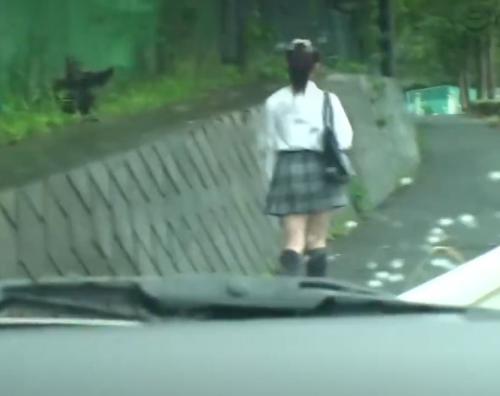 【JK】学校帰り、背後に忍び寄るハイエース…無理やり車内に連れ込まれるポニテ美少女が山に連れられてガチ陵辱