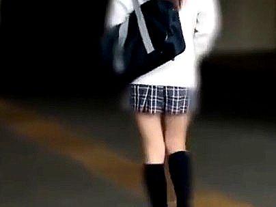 ＜満員痴漢車両＞「こんな可愛いのに…！」可哀想に！制服女子のかわいい女子が痴漢師にヤラレルぞ(無料エロ動画)