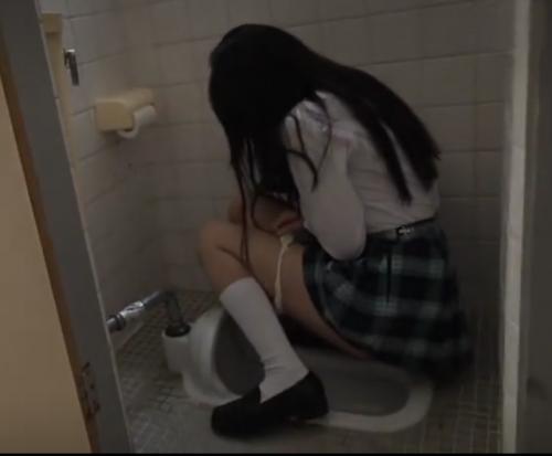 《被害児童30名収録》※トイレのドアが突然バンッ！【メチャカワJK】陵辱されて号泣マンコにたっぷり中出しレイプ♥《ロリ》