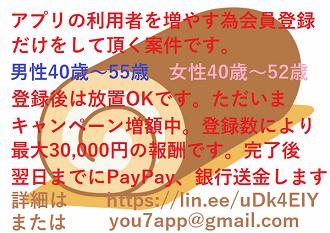 スキマ時間に片手でおこずかいMAX30000円稼げる安心案件です。