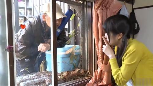 ラケットの柄でズボってる依存症の娘。現場を見つけたお父ちゃんを部屋に引き込む。釣りに行ったお父ちゃん。娘でイってたww
