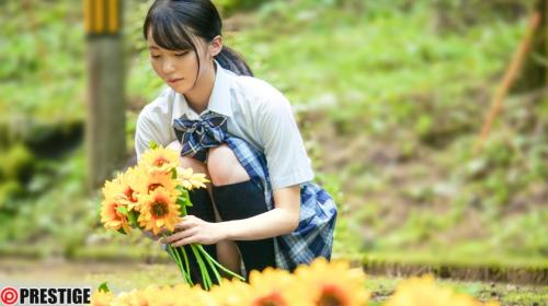 【美少女×幼馴染】あの夏には戻れないー。お互いを激しく求め合った青春セックスは大切な思い出！